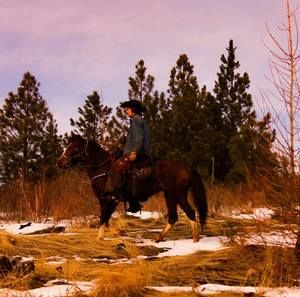 Meet your Posher, Ashton